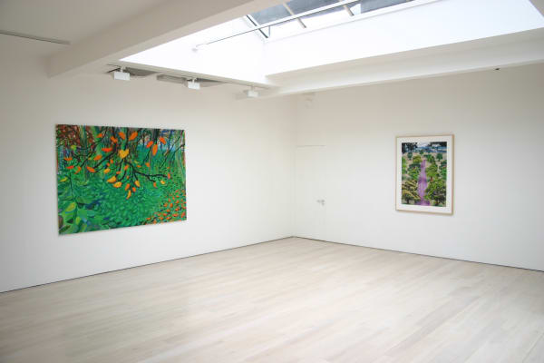 David Hockney, Drawing in a Printing Machine, installation image @ Annely Juda Fine Art 2009