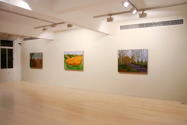 David Hockney, A Year in Yorkshire, installation image @ Annely Juda Fine Art 2006