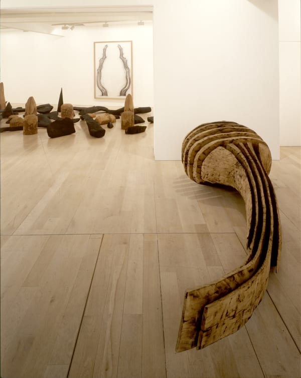 installation shot of David Nash's exhibition At the Edge of the Forest at Annely Juda Fine Art, London 1993