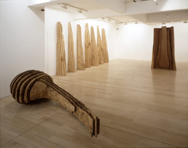 installation shot of David Nash's exhibition At the Edge of the Forest at Annely Juda Fine Art, London 1993