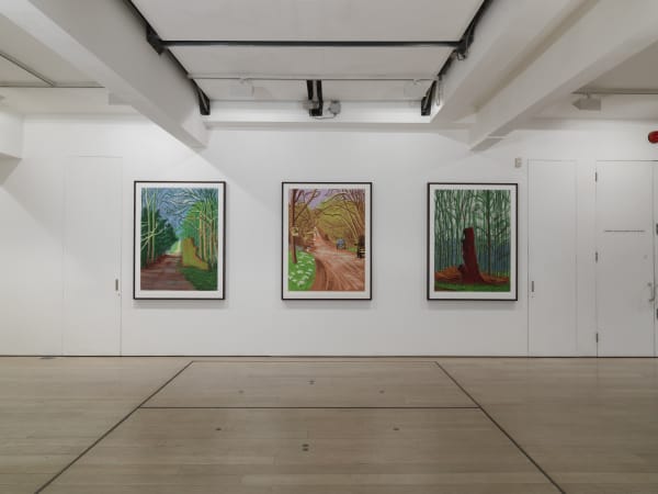 David Hockney installation image @ Annely Juda Fine Art 2017