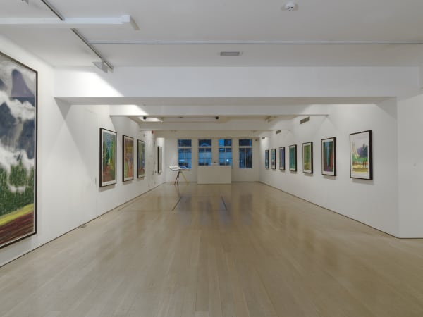 David Hockney installation image @ Annely Juda Fine Art 2017