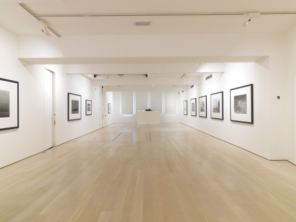 Thomas Joshua Cooper installation @ Annely Juda Fine Art, London 2022