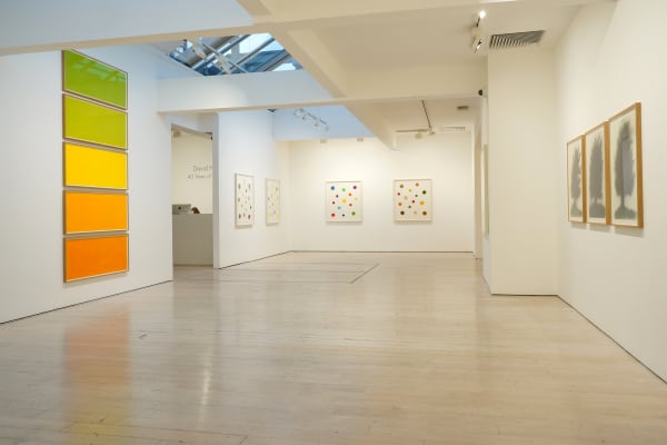 David Nash, 45 Years of Drawing, Annely Juda Fine Art, London, 2024