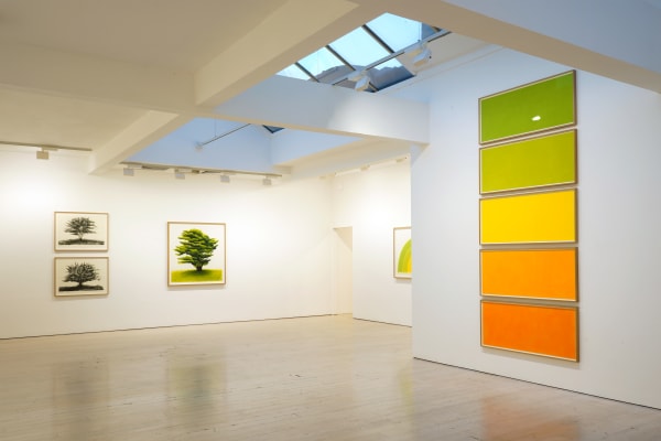 David Nash, 45 Years of Drawing, Annely Juda Fine Art, London, 2024