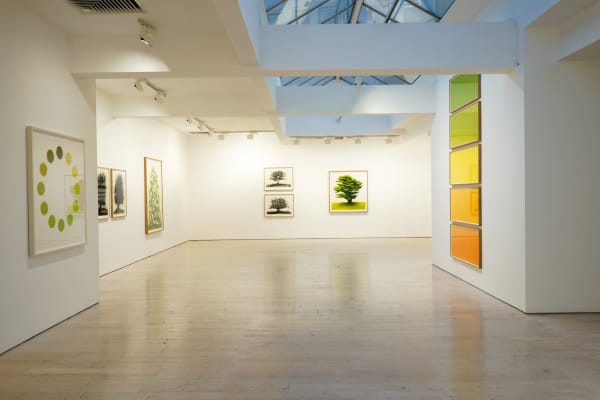 David Nash, 45 Years of Drawing, Annely Juda Fine Art, London, 2024