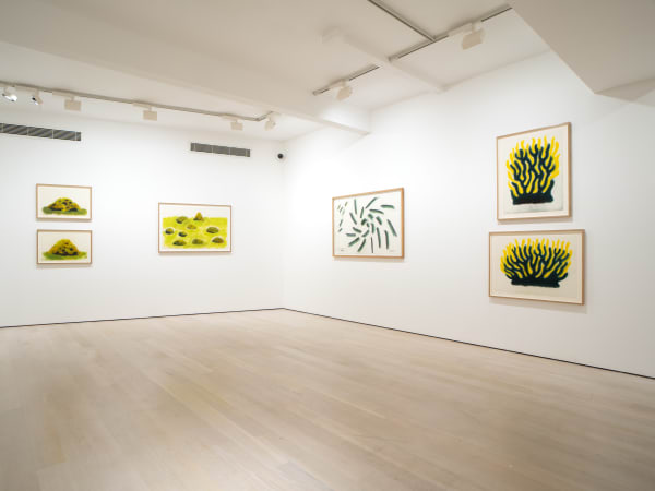 David Nash, 45 Years of Drawing, Annely Juda Fine Art, London, 2024