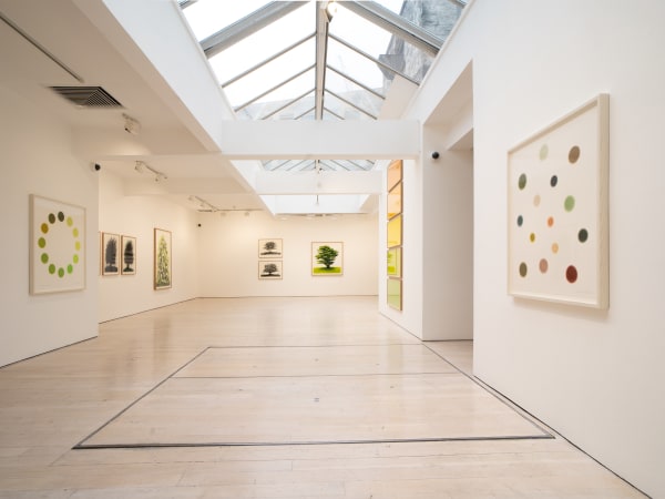 David Nash, 45 Years of Drawing, Annely Juda Fine Art, London, 2024