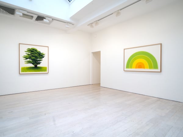 David Nash, 45 Years of Drawing, Annely Juda Fine Art, London, 2024