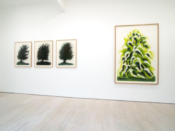 David Nash, 45 Years of Drawing, Annely Juda Fine Art, London, 2024