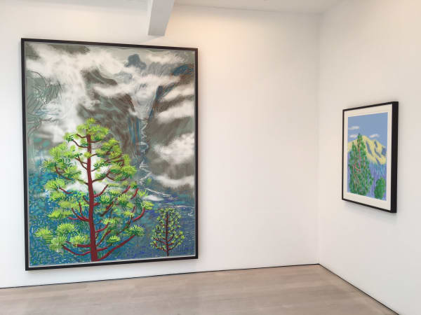 David Hockney installation image @ Annely Juda Fine Art 2016