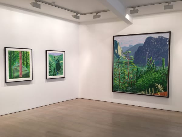 David Hockney installation image @ Annely Juda Fine Art 2016
