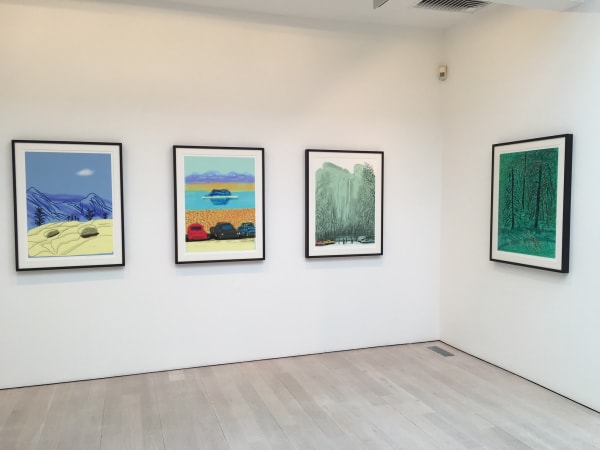 David Hockney installation image @ Annely Juda Fine Art 2016