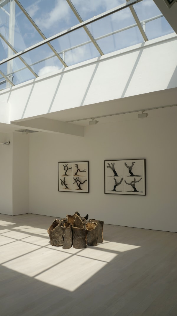 Summer Show @ Annely Juda Fine Art 2014. Roger Ackling, Anthony Caro, Nigel Hall, David Hockney, David Nash and Yuko Shiraishi.