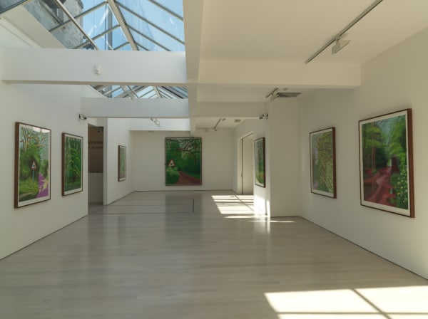 David Hockney, The Arrival of Spring installation image @ Annely Juda Fine Art 2014