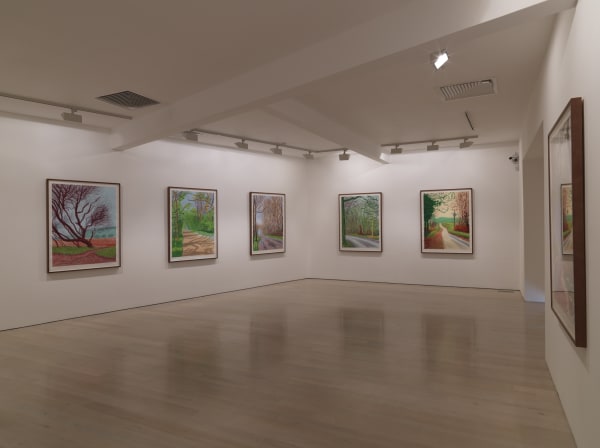 David Hockney, The Arrival of Spring installation image @ Annely Juda Fine Art 2014