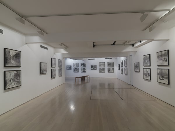 David Hockney, The Arrival of Spring installation image @ Annely Juda Fine Art 2014