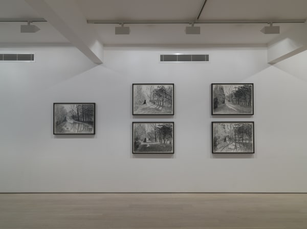 David Hockney, The Arrival of Spring installation image @ Annely Juda Fine Art 2014