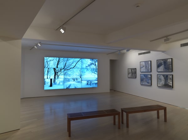 David Hockney, The Arrival of Spring installation image @ Annely Juda Fine Art 2014