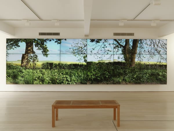 David Hockney installation image @ Annely Juda Fine Art 2020