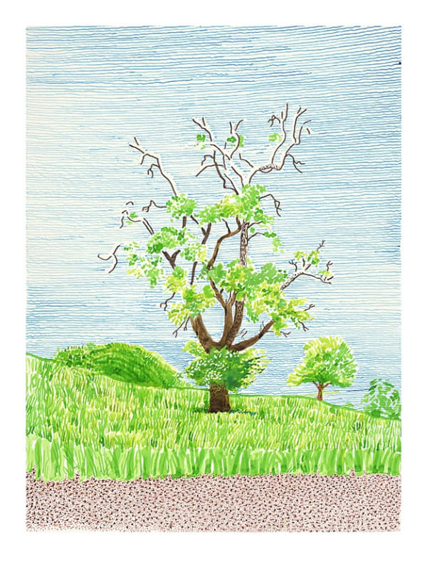 David Hockney Hawthorn Bush in Front of a Very Old and Dying Pear Tree 2019 inkjet print on paper