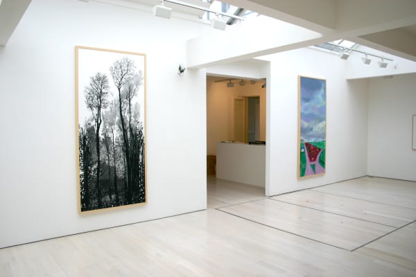 David Hockney, Drawing in a Printing Machine, installation image @ Annely Juda Fine Art 2009