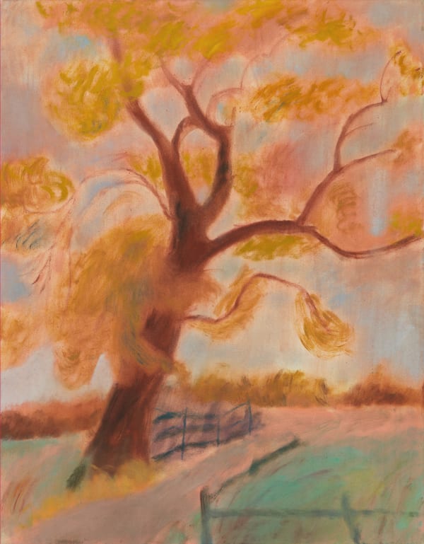 Spotlight: Sammi Lynch