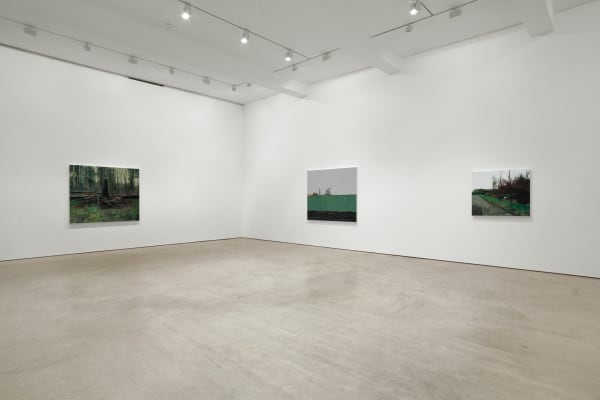 Shaw Wg Show 2009 Installation 1