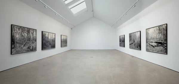 Shaw Wg Show 2009 Installation 4