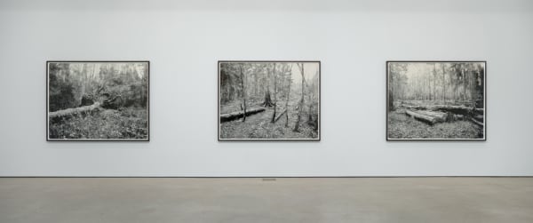 Shaw Wg Show 2009 Installation 5