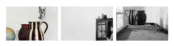 BARBARA PROBST Object Lessons: Photography at Cornell, 1869-2018