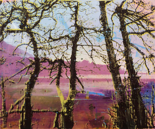 ELIZABETH MAGILL - Headland