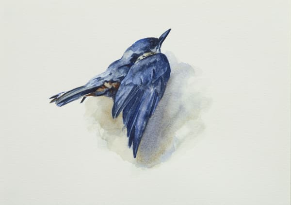 Home is Unspent - George Shaw & Thomas Bewick