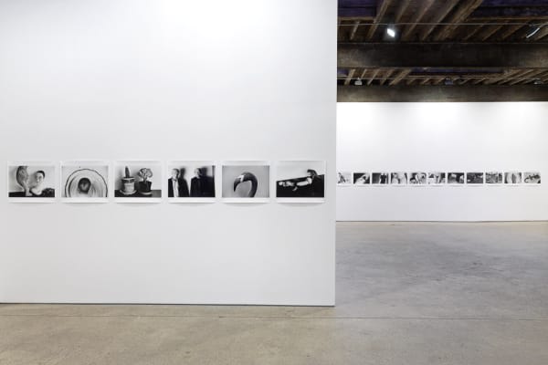 Installation view of Araki's Eros Diary, a long running script of 77 new black and white gelatin prints.