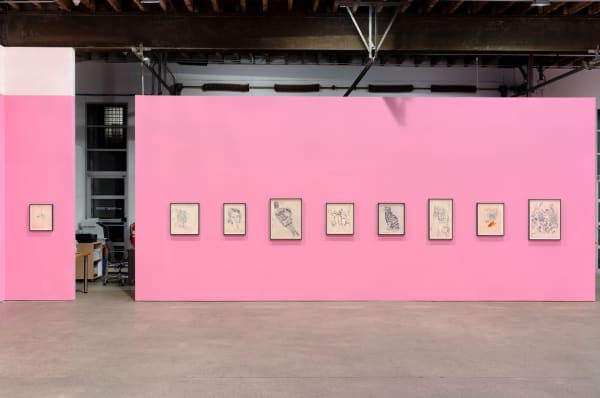 Installation view of Andy Warhol's solo show, featuring 170 of the artist's drawings. Some of the larger drawings in the show.