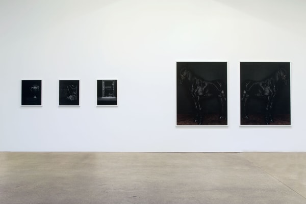 Installation view of Sarah Jones' fourth solo show at Anton Kern, featuring 21 new photographs. Four works featured.