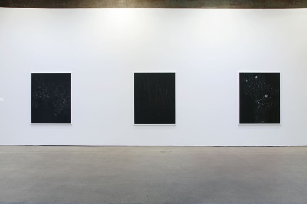 Installation view of Sarah Jones' fourth solo show at Anton Kern, featuring 21 new photographs. Three works featured.