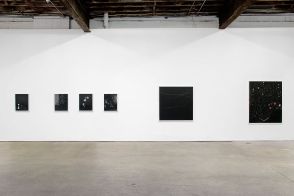 Installation view of Sarah Jones' fourth solo show at Anton Kern, featuring 21 new photographs. Three small works as well as one large work featured here.