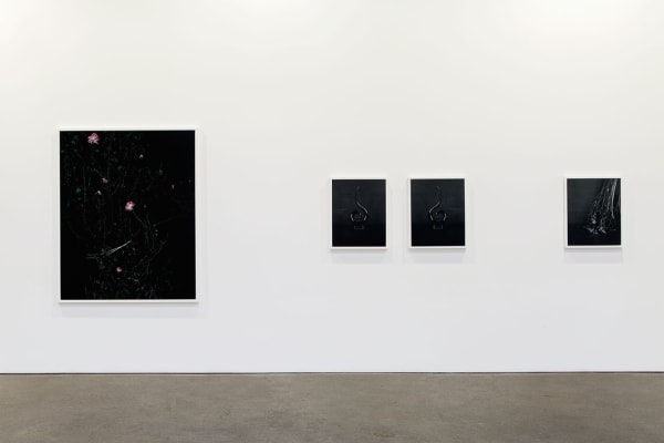 Installation view of Sarah Jones' fourth solo show at Anton Kern, featuring 21 new photographs. Three more works.