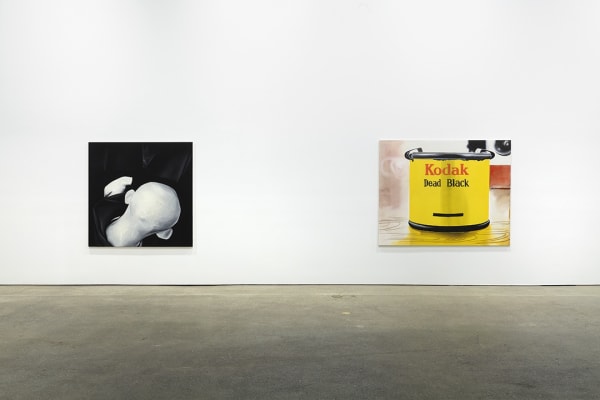 Installation view of Wilhelm Sasnal's fifth solo exhibition at Anton Kern Gallery, featuring works that revolve around the theme of Kodak as a corporation and manufacturer. Two works featured.