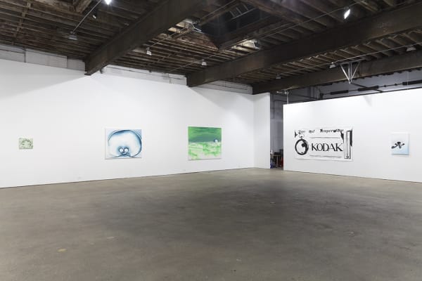 Installation view of Wilhelm Sasnal's fifth solo exhibition at Anton Kern Gallery, featuring works that revolve around the theme of Kodak as a corporation and manufacturer. Multiple works featured.