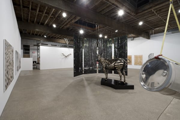 Installation view of Michael Joo's solo show. Another view of life-size zebra work.
