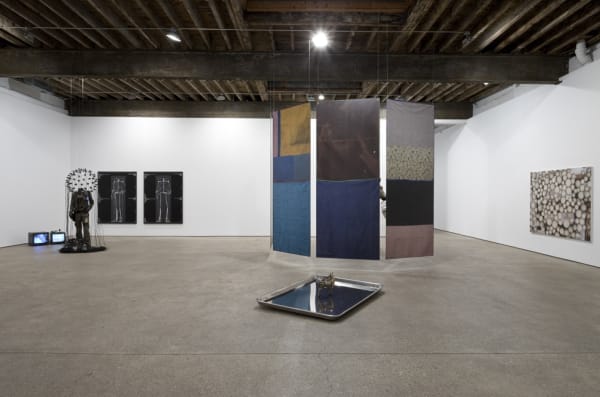 Installation view of Michael Joo's solo show. A few works featured.
