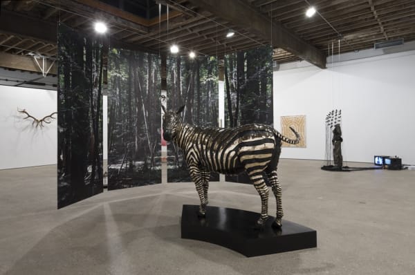 Installation view of Michael Joo's solo show. Zebra-sculpture titled Stubbs pictured.