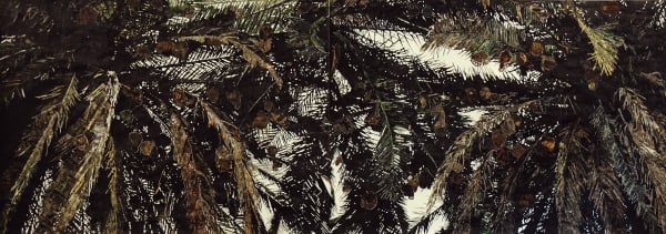 Detail of Odenbach's installation,