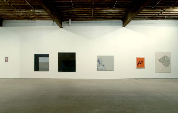 Installation of Sergej Jensen's first solo show in New York. Five works featured.