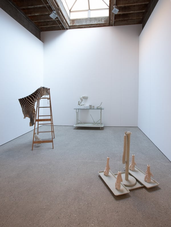 Installation view of Michael Joo's sculptural preview for Still Lives, entitled Distilled. Vertical view of back gallery.