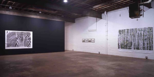 Installation view of Marcel Odenbach's show titled Paper on Paper consisting of large collage works.