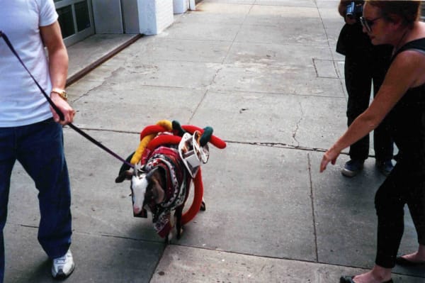 Installation view of John Bock's solo show, a social sculpture including lectures, costumes, performances, a goat, and odd sculptures. Bock walks the goat.