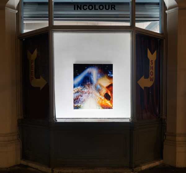 Marilyn Minter side edit